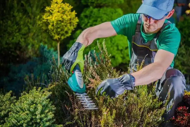 landscaping services Moriches